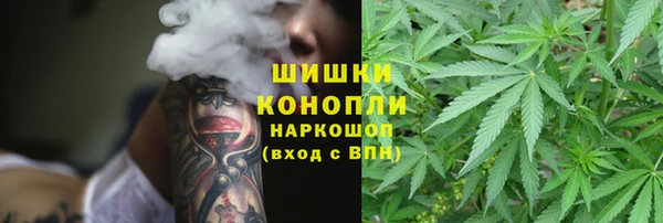 индика Верея