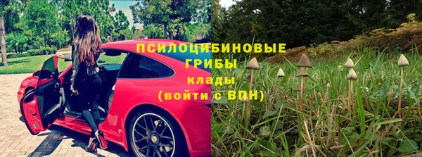 индика Верея