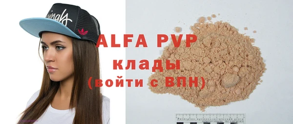 индика Верея