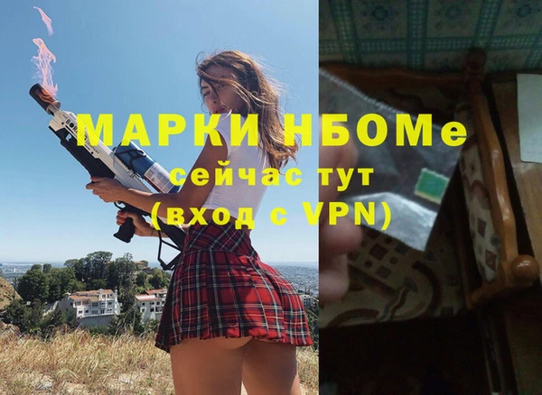 индика Верея