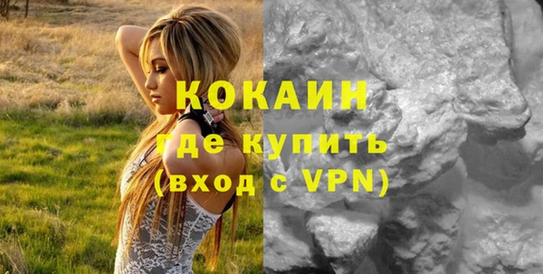индика Верея