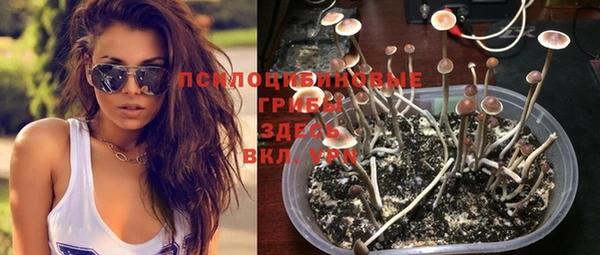 индика Верея