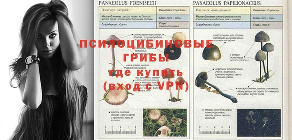 индика Верея