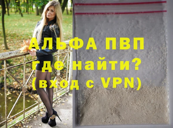 индика Верея