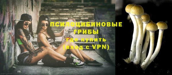 a pvp Верхний Тагил