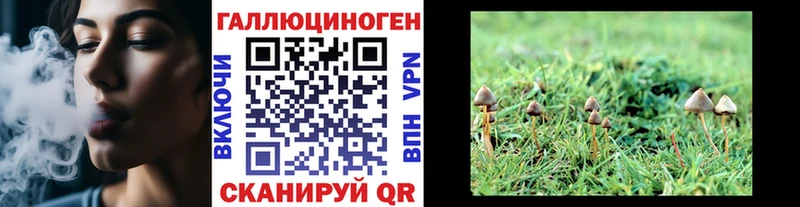 наркотики  Скопин  Галлюциногенные грибы GOLDEN TEACHER 